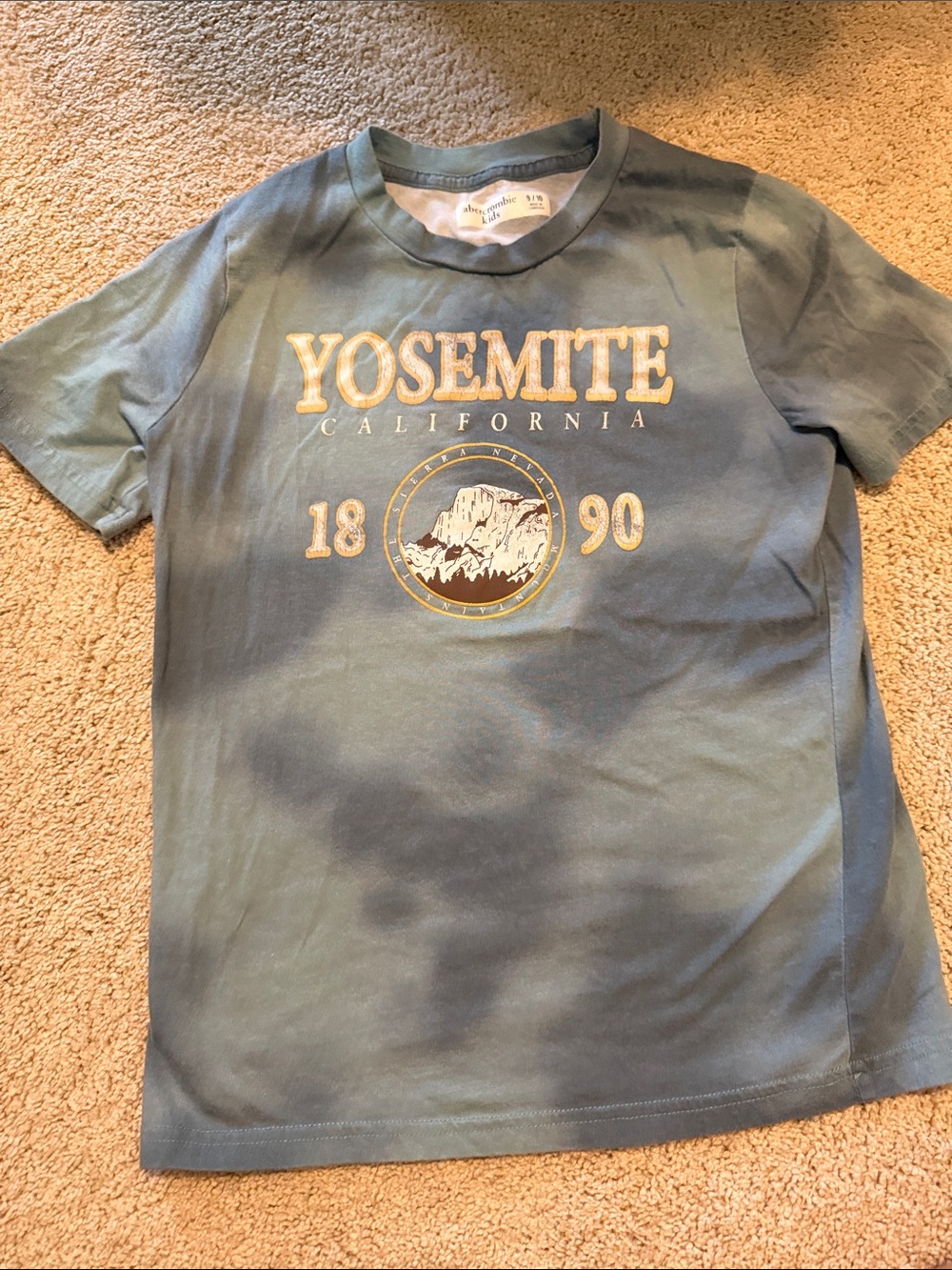 Yosemite Graphic Tee - Blue - Abercrombie kids